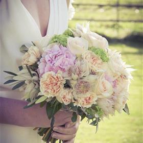 fwthumbwedding 004.jpg